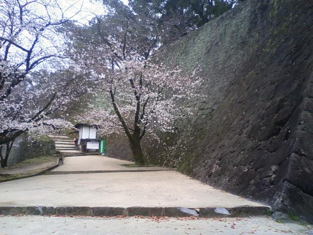 熊本に生まれてよかった・・・・・